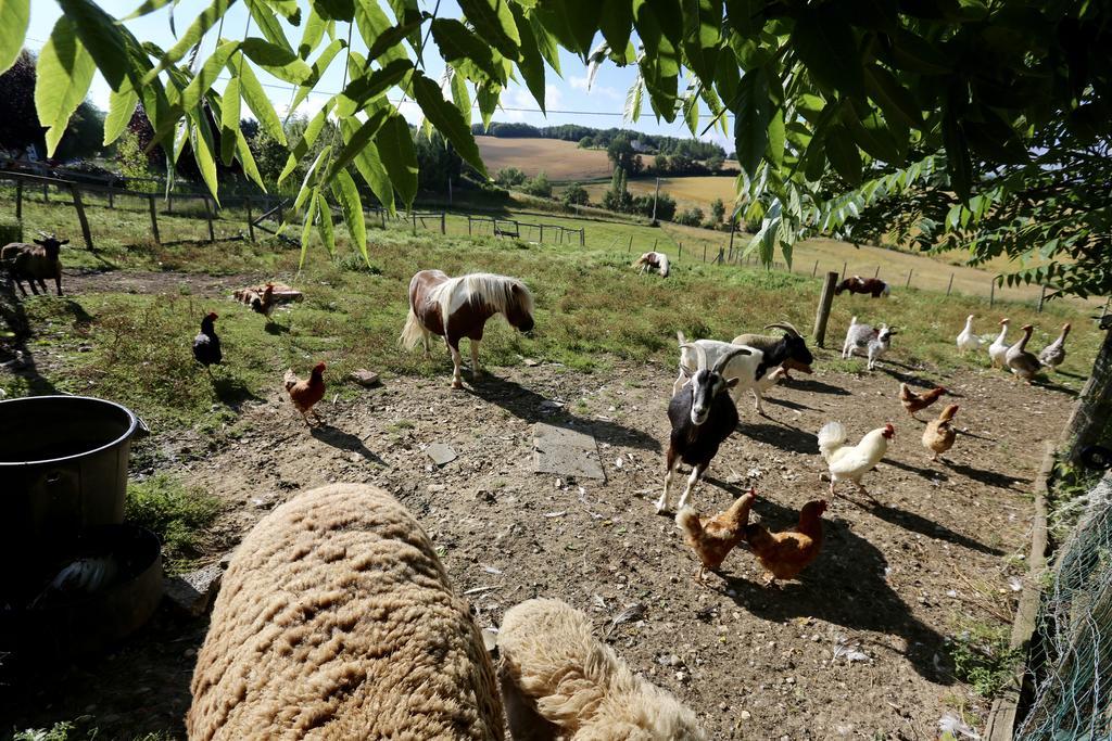 La Ferme Couderc Villa Castelnaud-de-Gratecambe Kültér fotó