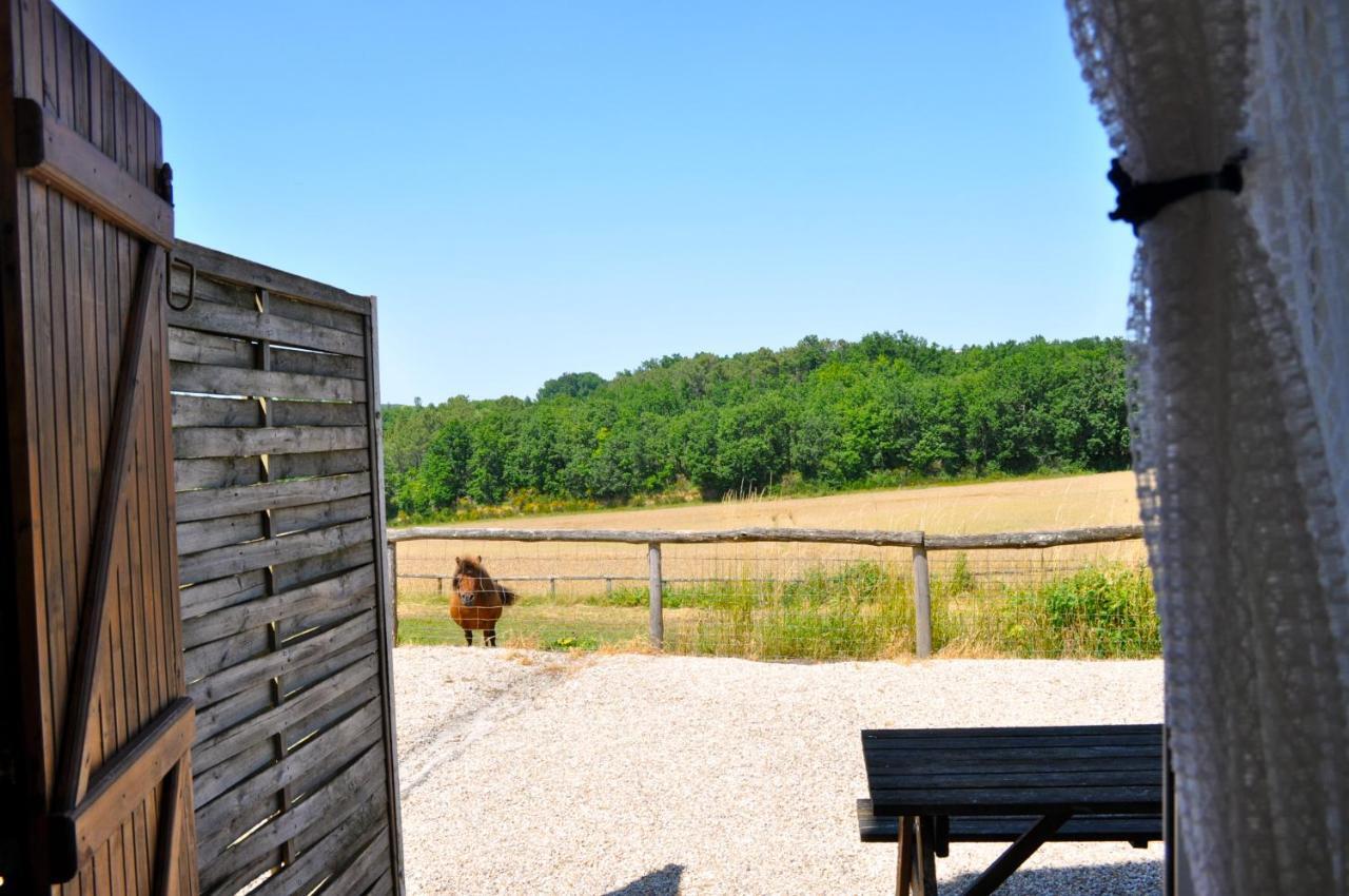 La Ferme Couderc Villa Castelnaud-de-Gratecambe Kültér fotó